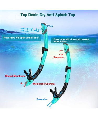 Createy Snorkel Set | Panoramic View Diving Mask, Trek Fin, Dry Top Snorkel - Green | S/M Adults 4.5-8.5 - Buy Online on SooperMarket.com