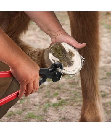 Nicoone Horse Farrier Hoof Trim Tool Kit | 3PC Professional Hoof Cutting Tongs & Horseshoe Care Accessories - Buy Online on SooperMarket.com