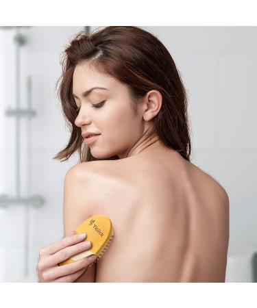 2 Pack Exfoliating Dry Brushes for Cellulite & Lymphatic Drainage - Body Scrub Set with Natural Bristles & Massage Nodules - Buy Online on SooperMarket.com