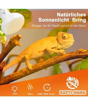 Repti Home 75W Reptile Heating Lamp - 2 Pack | Ideal for Turtles Lizards Snakes & Amphibians - Perfect Terrarium Heat Source - Buy Online on SooperMarket.com