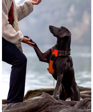 Joytale Large Dog Harness - Reflective Soft Padded Adjustable & Breathable with Control Handle - Ideal for Large Dogs Orange (1 Pack) - Buy Online on SooperMarket.com