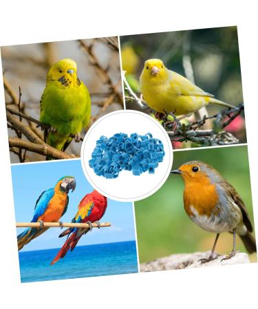 FRCOLOR 200 Pcs Pigeon Anklet Plastic Tags Chicken Foot Bands Dove Pigeon Foot Bands Baby Chicken Foot Ring 1X1X0.8CMx2pcs Bluex2pcs - Buy Online on SooperMarket.com