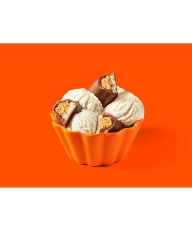 REESE'S + Nougat Chocolate and Peanut Butter Candy Bar Holiday Candy 51g (Pack of 18) - Buy Online on SooperMarket.com