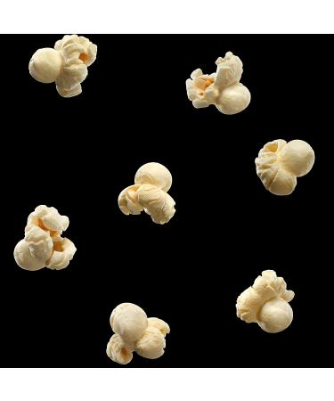 Smartfood Popcorn White Cheddar 0.625oz Bags (10 Pack) - Delicious Snack Option - Buy Online on SooperMarket.com