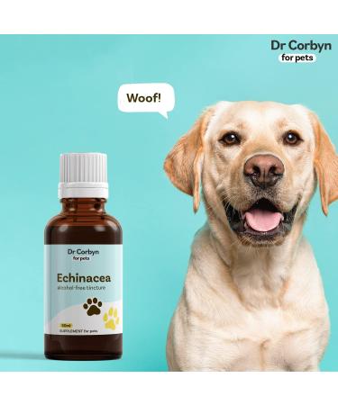 Dr Corbyn Pets Echinacea Drops 50ml | Immunity Support for Dogs & Cats | Natural Echinacea Supplement - Buy Online on SooperMarket.com
