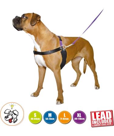 Anol/Pure Dog Listeners Stop Pulling Dog Training Harness & Lead Set - Large Size 7-8 (inc DVD) - Buy Online on SooperMarket.com