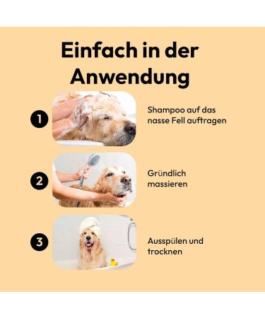 Belly Golden Oat Dog Shampoo 250ml | Sensitive Formula for Itching & Odor | Optimal Care for All Dog Breeds with Oat Protein & Shea Butter - Buy Online on SooperMarket.com
