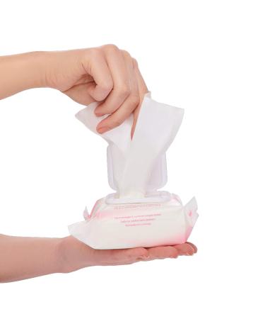Simply Soft Makeup Remover Wipes - Fragrance-Free, Hypoallergenic, pH Balanced - 25 ct. (2 Packs) - Unscented Towelettes - Buy Online on SooperMarket.com