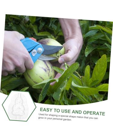 GANAZONO 9 Pcs Vegetable Mold Fruit Shaper Planting Vegetable DIY Cucumber Watermelon 9x8cmx3pcs Transparentx3pcs - Buy Online on SooperMarket.com