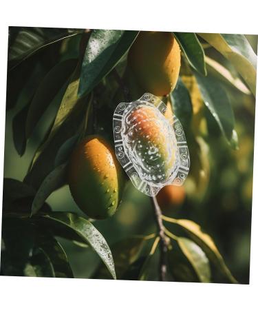 IWOWHERO Fruits Forming Mould Vegetable Growing Mold Ginseng Fruit Melon Shaping Mold Novel Shaping Mold Multipurpose Gourd Head - Buy Online on SooperMarket.com