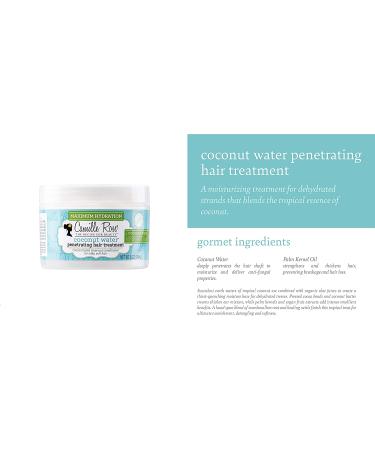 Camille Rose Coconut Water Hair Treatment 8oz - Hydrating & Nourishing - Buy Online on SooperMarket.com