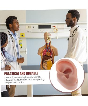 FOMIYES Silicone Human Ear Model for Piercing Teaching Display - Coffee 6.5x3.5cm - Buy Online on SooperMarket.com