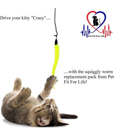Pet Fit For Life 5 Piece Replacement Worm Pack for Cat Toy Wands - Buy Online on SooperMarket.com