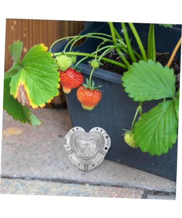 STOBOK 4pcs Melon Forming Gardening Major Molds Garden Design Plastic Fruit Heart Tools Small Strawberry - Buy Online on SooperMarket.com