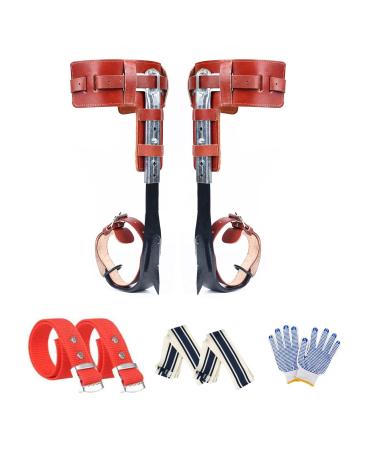 TWSOUL Tree Climbing Spikes Set, Tree Climbing Gear Adjustable Long Tree Climbing Tool Non-Slip Pedal for Picking Fruit, Indoor and Outdoor Sports