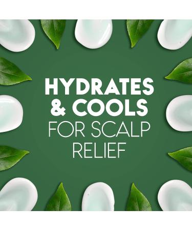Head & Shoulders Tea Tree Oil 2-in-1 Anti-Dandruff Shampoo + Conditioner 370 mL 370 g (Pack of 1) - Buy Online on SooperMarket.com