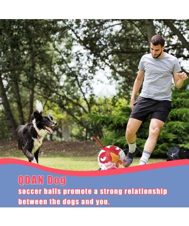 Hetoo Interactive Dog Toys | Durable Football with Gripping Bottles | Perfect for Small & Medium Breeds | Water Toys for Indoor & Outdoor Play - Large Size 3 Angry-Chick - Buy Online on SooperMarket.com