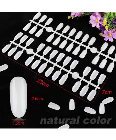 Flofia 240 Nail Art Tips Display - Practice & Presentation Compartment for Nail Polish - Natural Color - Buy Online on SooperMarket.com