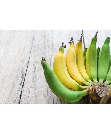 Banana Vital Simply Bananas Fruit Bar - Shelf-Stable, Gluten-Free, Vegan, Non-GMO - 18 Count (30g) Bars - Original Banana Flavor - Buy Online on SooperMarket.com