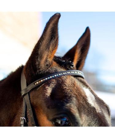 HORZE Weston Padded Leather Horse Bridle with Flash Noseband & Web Reins - Brown | Snaffle Bridle - Buy Online on SooperMarket.com