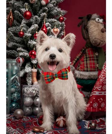 Buy Lionheart Glory Christmas Checkered Dog Collar & Shoe Collar - Adjustable Bowtie for Big Dogs - Comfortable Red-Green Checkered Design (1 Pack) - Buy Online on SooperMarket.com