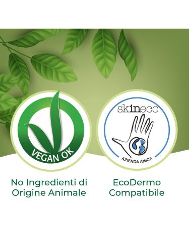 Shop Winni's Eco-Friendly Lime Plates ML.1000 - Sustainable & Stylish | International Shipping Available - Buy Online on SooperMarket.com
