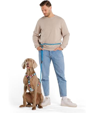 Hands-Free Dog Leash - 2m Adjustable Belly Belt for Running & Jogging | 3-in-1 Training & Hunting Leash for All Dog Sizes - Touline Petrol - Buy Online on SooperMarket.com