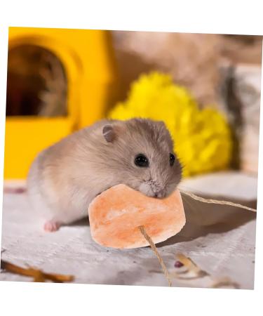 Kisangel Pet Salt Block Hamster Supply Salt Brick for Rabbit Nutrition Hamster Animals Salt Rabbit Salt Brick Salt Blocks Rabbit Licking Salt Safety Rabbit Salt Creative Rabbit Salt - Buy Online on SooperMarket.com