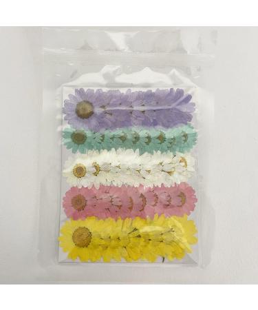 50pcs Natural Dried Daisy Flowers - Vacuum Packed for Decoration & Jewelry Making (5 Colors) - Buy Online on SooperMarket.com