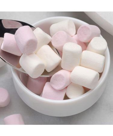 Additions Mini Pink & White Marshmallows - 1x1kg