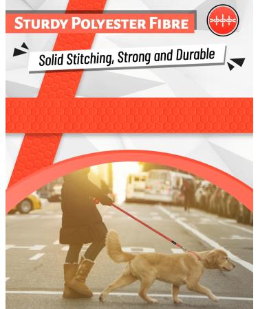 Looxmeer Rubberized Tow Lines for Dogs - 3m/5m/7m/10m/15m/20m/30m Leash | Durable Neon Orange Leash for Small & Medium-Sized Dogs - Buy Online on SooperMarket.com