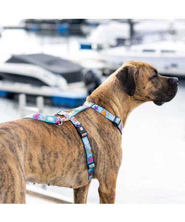 Buy Max & Molly H-Harness - Blue Ocean | Stylish & Durable Pet Harness for International Shipping - Buy Online on SooperMarket.com