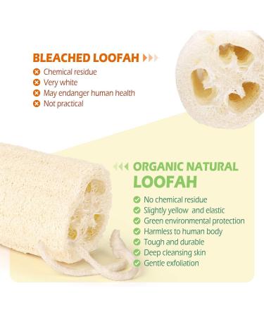 100% Organic Luffa Sponge - Natural Shower & Peeling Sponge | Eco-Friendly Body Brush for Exfoliating Dead Skin - Buy Online on SooperMarket.com