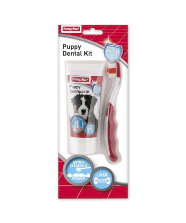 Beaphar | Toothbrush & Toothpaste Dental Care Kit for Puppies | Includes a Small-Headed Toothbrush and Liver-Flavoured Enzymatic Toothpaste 50g Tube