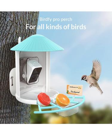 Netvue Multifunction Bird House Stand & Feeder | Versatile Bird Feeding Station for Wild Birds - Ideal for Potions Fruits & Vegetables - Buy Online on SooperMarket.com
