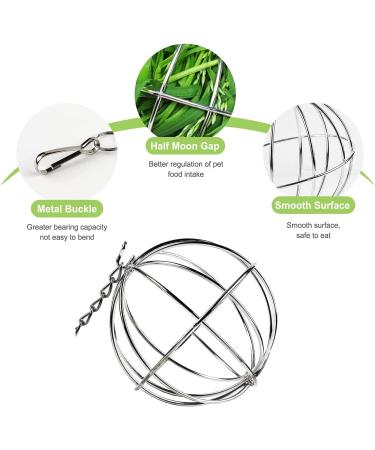 Esteopt Stainless Steel Feeder Ball Set for Guinea Pigs Hamsters & Rabbits - Durable Rodent Toy 2 Pieces Hay Ball for Small Animals - Buy Online on SooperMarket.com