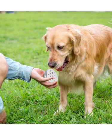 KALIONE 6 Packs Dog Scent Work Tins Scent Training Box for Dogs Small Dog Food Container Agility Training Equipment for Dogs Dog Scent Training Tools Kit Aluminum Containers for Dog Nose Training - Buy Online on SooperMarket.com