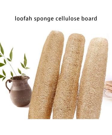 Natural Luffa Sponge - Biodegradable Loofah for Bath & Kitchen - 13-22 cm - Buy Online on SooperMarket.com