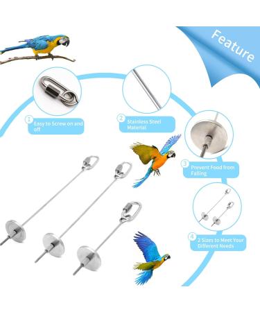 3-Pack Stainless Steel Parrot Spit & Bird Toy Holder for Nymphensittich & Budgies - Feed Hang & Treat Your Pets - Buy Online on SooperMarket.com