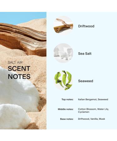 Skylar The Summer I Turned Pretty Salt Air Eau de Perfume - Hypoallergenic & Clean for Women Men Vegan Safe Sensitive Skin Fresh with Notes of Driftwood Sea Seaweed SITP Salt Air 0.33 Fl Oz (Pack of 1) - Buy Online on SooperMarket.com