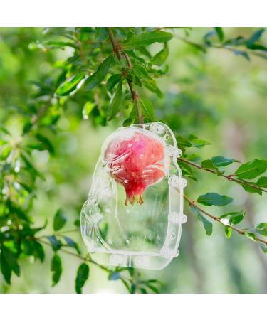 GANAZONO 2pcs Fruit Shaping Mold Fruit Shaping Tool Fruit Forming Mould Fruits Mold Stereotypes Ginseng Fruit - Buy Online on SooperMarket.com