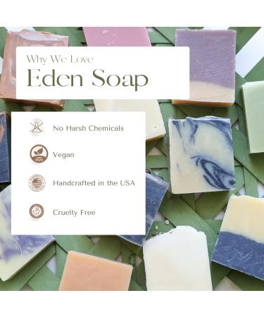 Eden Daily Essentials: Vegan Fragrance-Free Natural Dish & Cleaning Soap SLS/SLES Free Made with Coconut Oil - Buy Online on SooperMarket.com