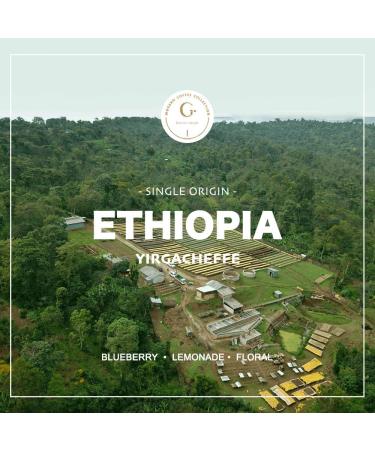 Organic Ethiopian Yirgacheffe Green Coffee Beans 2lbs - Grade 1 Specialty Arabica - Fair Trade - Women Produced - Single Origin - Buy Online on SooperMarket.com