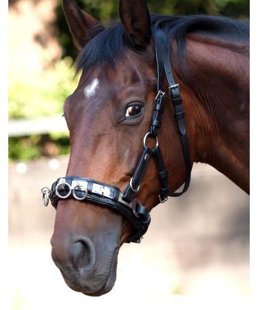 Heinick-Reitsport Professional Leather Cavesson Stainless Steel with Bit Strap Nosepiece Black Thoroughbred