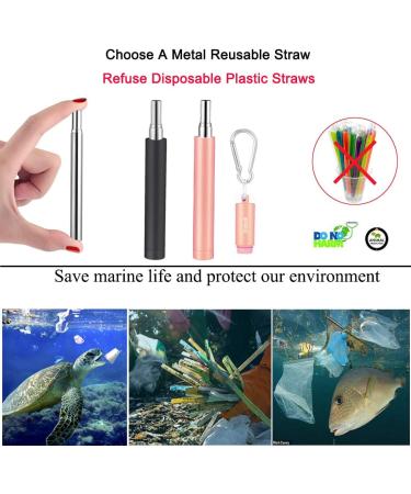 2 Pack Reusable Metal Straws Collapsible Stainless Steel Drinking Straw Travel Portable Telescopic Straw with Case 2 Cleaning Brushes Included Black/Rose Gold Black-Rose Gold - Buy Online on SooperMarket.com