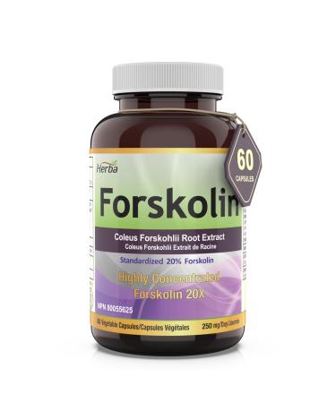 Herba Forskolin Supplement 60 Capsules | 5000mg Per Day | 20:1 Extract | Coleus Forskohlii Root | Made in Canada