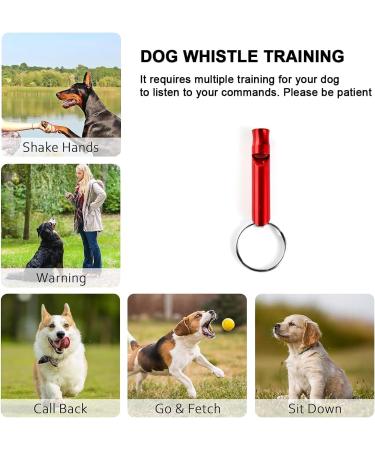 Ruayia New Classic Pull-Out Dog Leash for Up to 52 kg - 5m Ultra-High Belt with 360 Guide & Braking System - Black - Buy Online on SooperMarket.com
