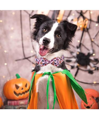 Shop Aring Pet Halloween Dog Collar - Cute Pink Pumpkin with Bow for All Dog Sizes (Pack of 1) - Buy Online on SooperMarket.com