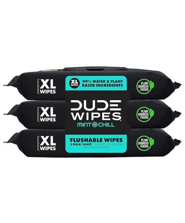 DUDE Wipes - Flushable Wipes - 3 Pack, 144 Wipes - Mint Chill Extra-Large Adult Wet Wipes - Vitamin-E, Aloe, Eucalyptus & Tea Tree Oils - Septic and Sewer Safe