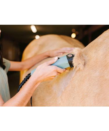 Lister Star Horse Clipper - Green Professional Animal Clipper Clippers for Horses & Cattle Farm Supplies Lightweight Low Vibration Corded 5m Cable Medium Duty Clipping 240 Volts Green with Hard Case - Buy Online on SooperMarket.com